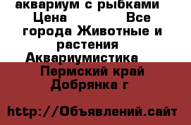 аквариум с рыбками › Цена ­ 15 000 - Все города Животные и растения » Аквариумистика   . Пермский край,Добрянка г.